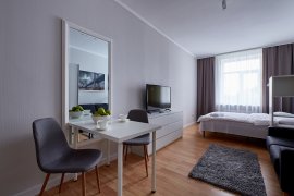 One-bedroom apartment-studio "Bridge"